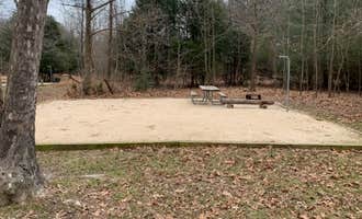 Camping near Westmoreland State Park Campground: Caledon State Park Campground, King George, Virginia