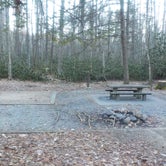 Review photo of Roan Mountain State Park Campground by Sarah C., May 27, 2018