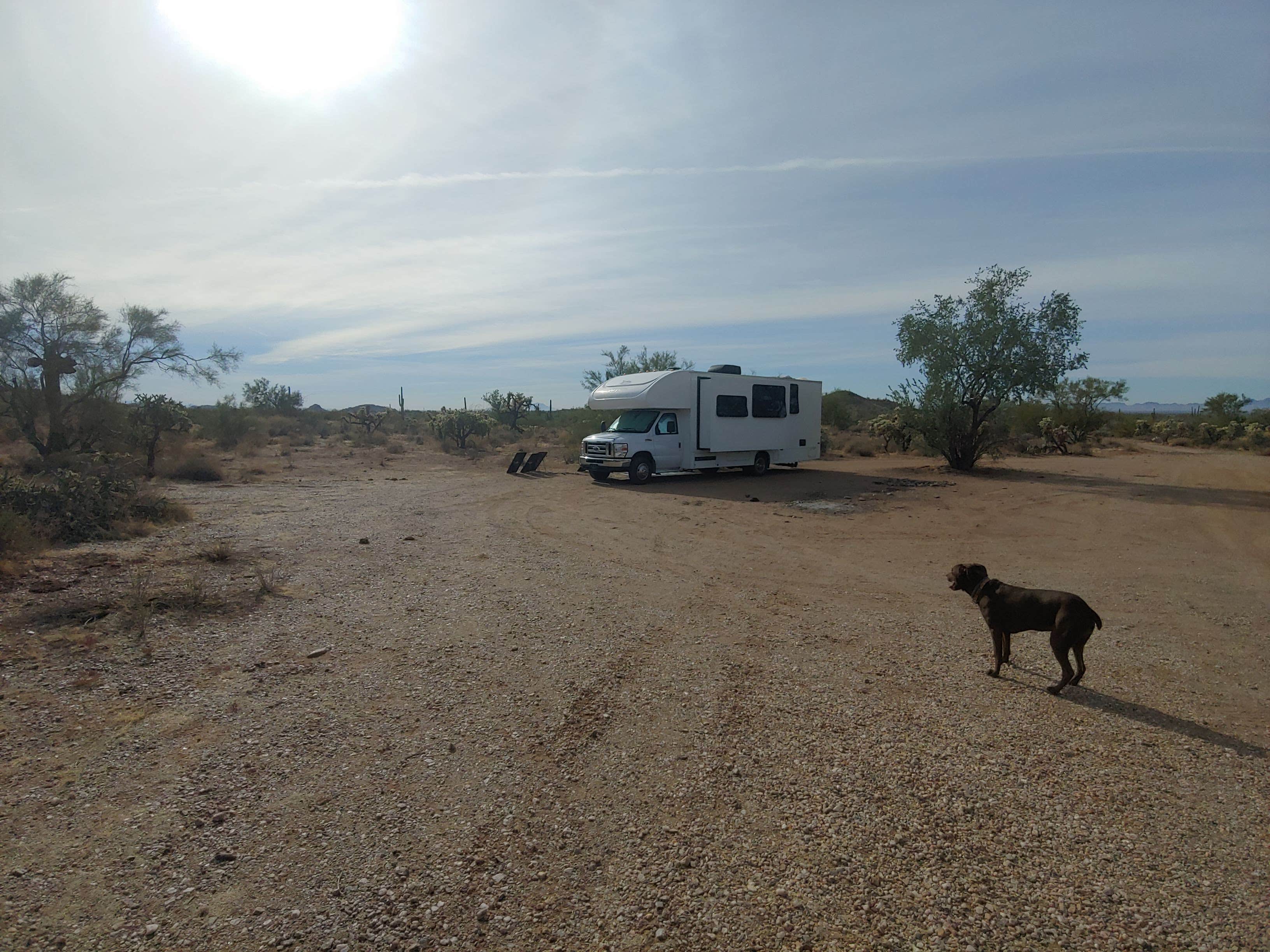Laura M.'s photo of camping with pets at Peralta Canyon / Gold Canyon Dispersed Camping - PERMANENTLY CLOSED near Mesa, AZ