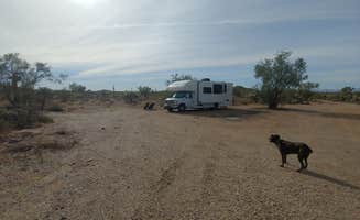 Laura M.'s photo of camping with pets at Peralta Canyon / Gold Canyon Dispersed Camping - PERMANENTLY CLOSED in Arizona
