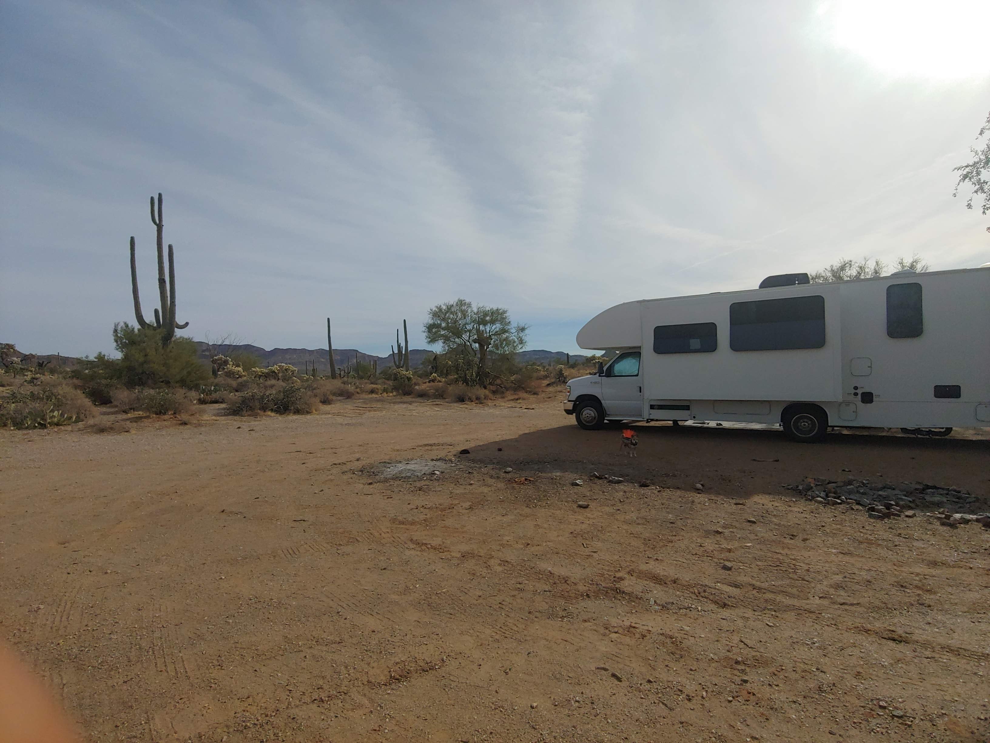 Camper submitted image from Peralta Canyon / Gold Canyon Dispersed Camping - 1