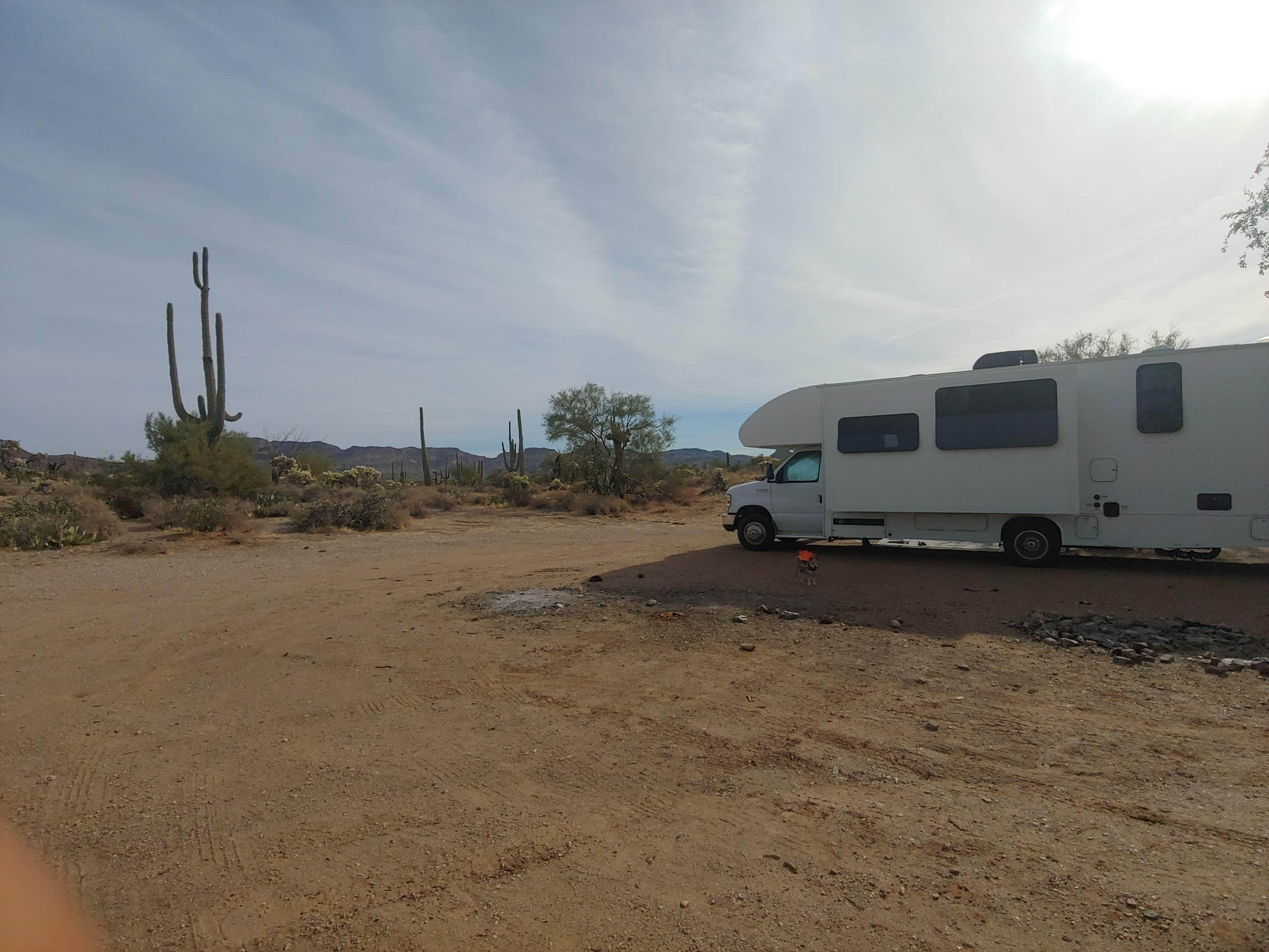 Camper submitted image from Peralta Canyon / Gold Canyon Dispersed Camping - PERMANENTLY CLOSED - 1