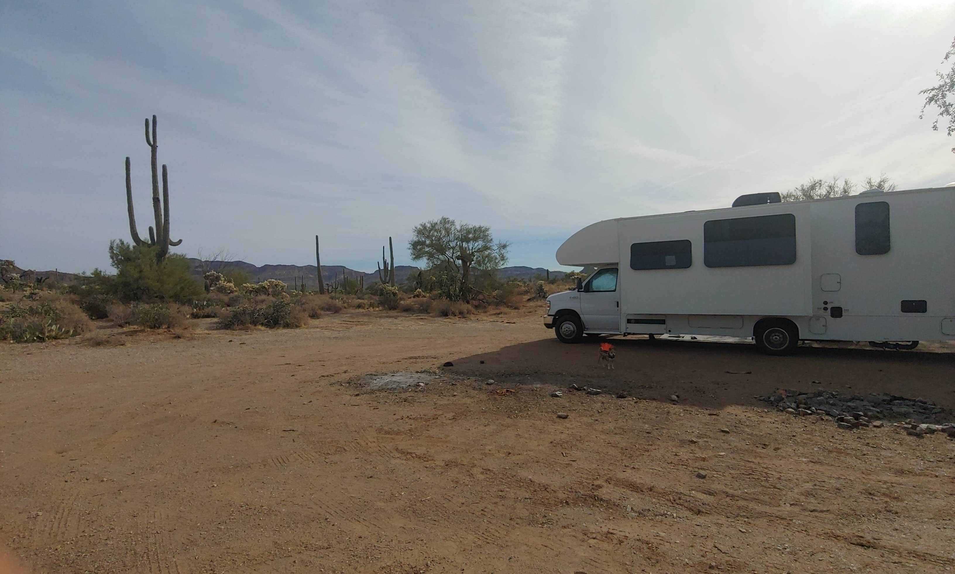 Dispersed Camping near Florence, AZ: 42 Best Places to Camp