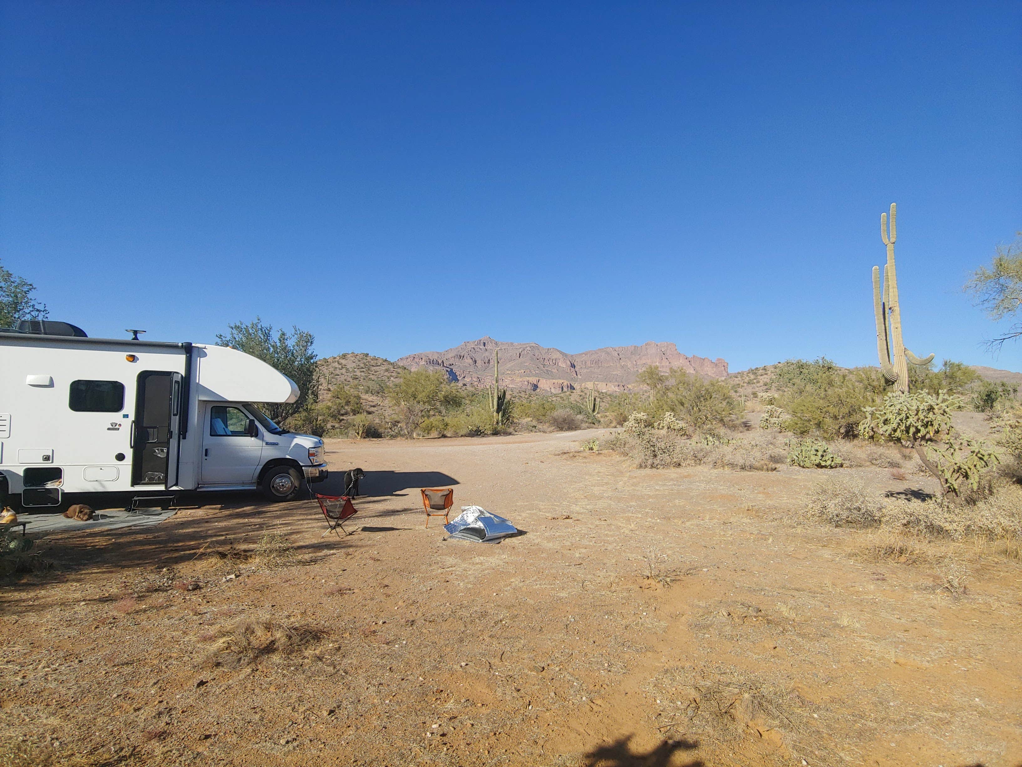 Camper submitted image from Peralta Canyon / Gold Canyon Dispersed Camping - PERMANENTLY CLOSED - 3