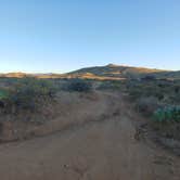 Review photo of Bloody Basin Rd / Agua Fria NM Dispersed Camping by Laura M., January 16, 2021