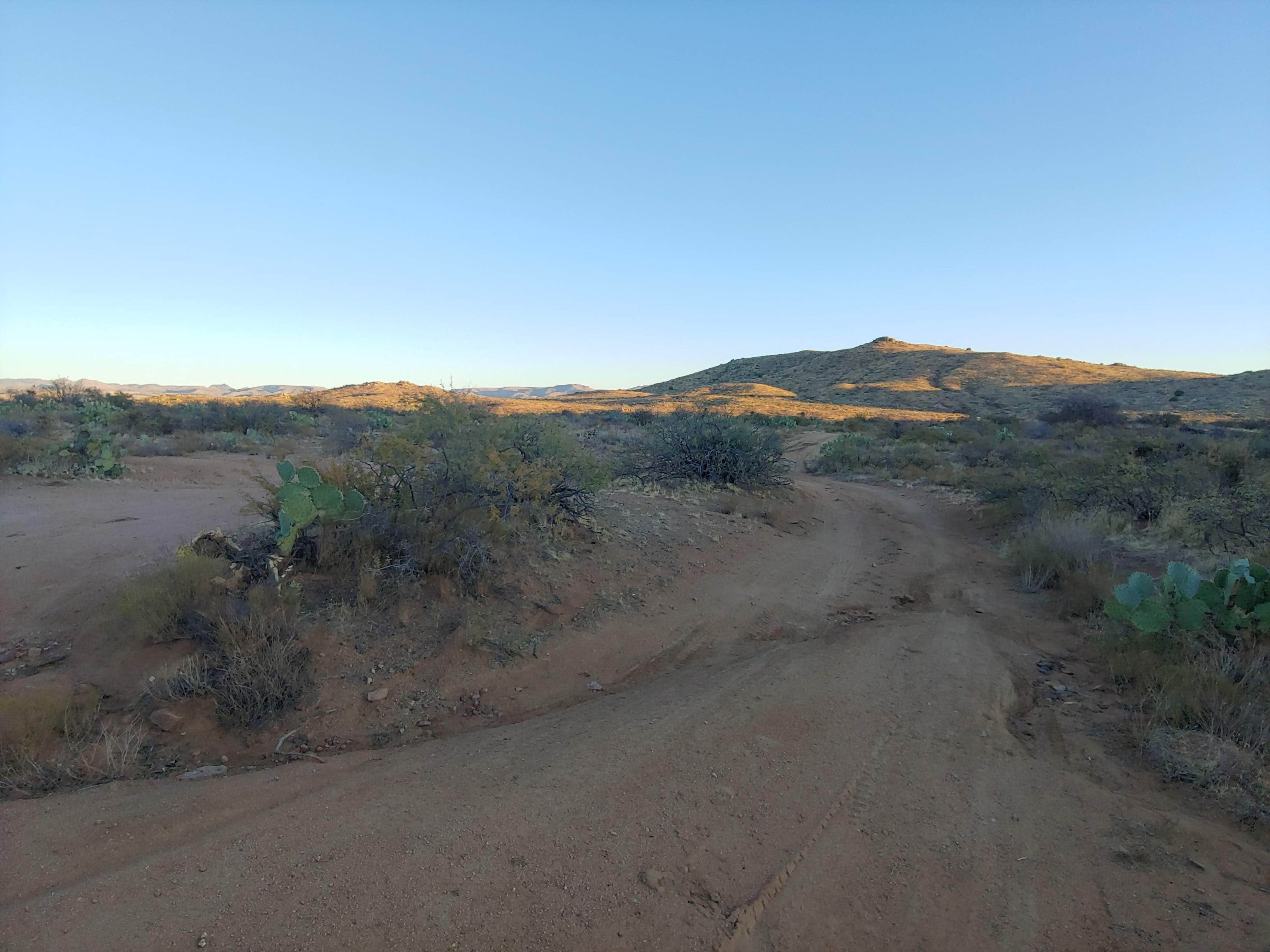 Camper submitted image from Bloody Basin Rd / Agua Fria NM Dispersed Camping - 1