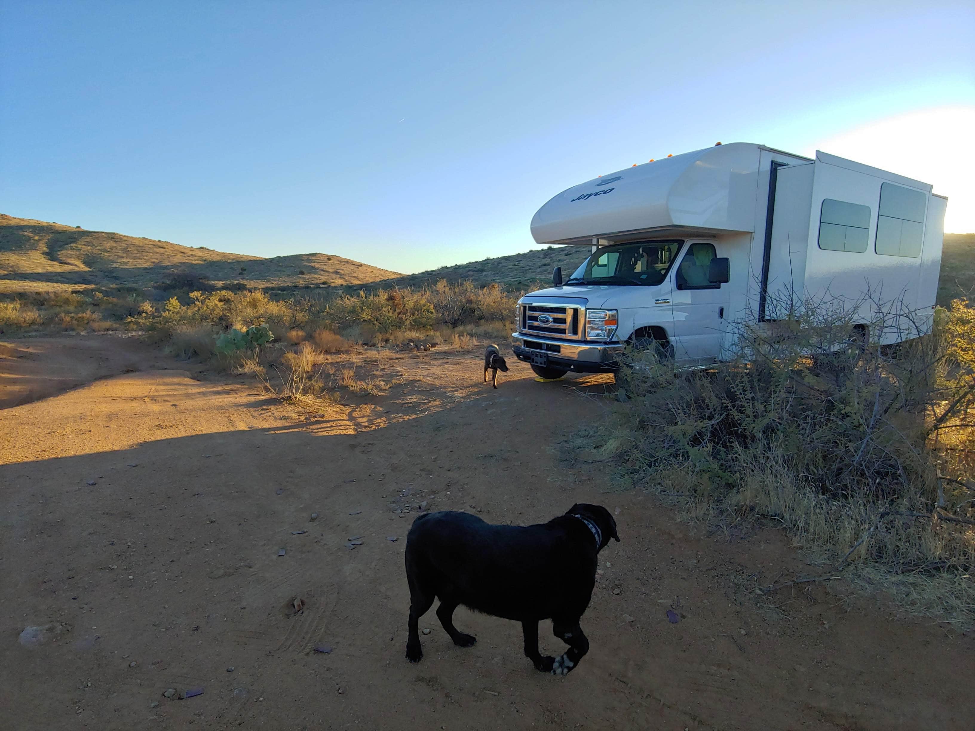 Laura M.'s photo of camping with pets at Bloody Basin Rd / Agua Fria NM Dispersed Camping near Prescott National Forest