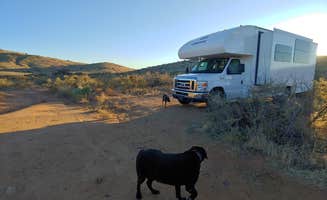 Laura M.'s photo of camping with pets at Bloody Basin Rd / Agua Fria NM Dispersed Camping near Crown King, AZ