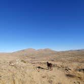 Review photo of Bloody Basin Rd / Agua Fria NM Dispersed Camping by Laura M., January 16, 2021