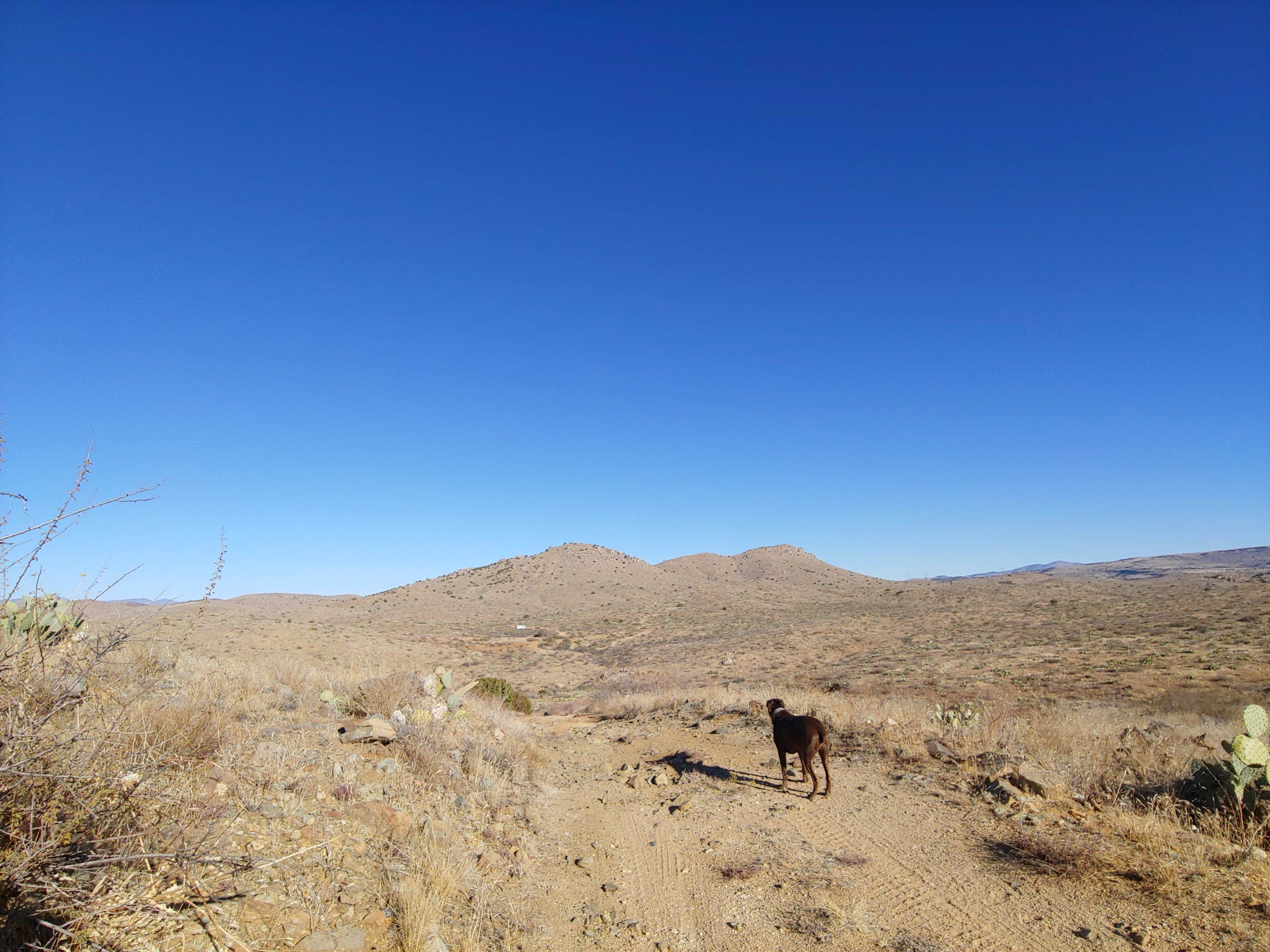 Camper submitted image from Bloody Basin Rd / Agua Fria NM Dispersed Camping - 4