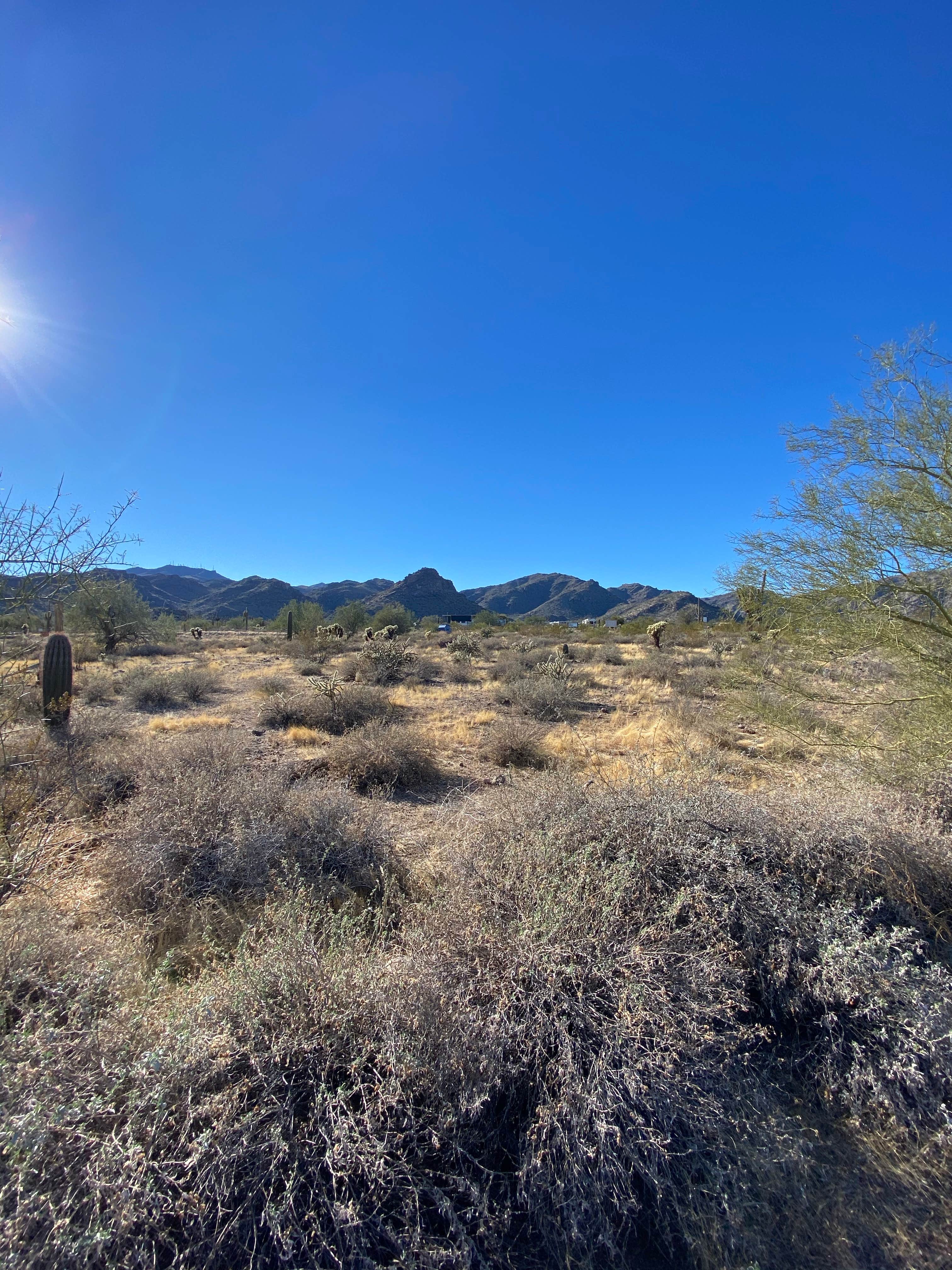 Camper-submitted photo at White Tank Mountain Regional Park near Sun City West, AZ