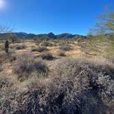 Review photo of White Tank Mountain Regional Park by George K., January 17, 2021