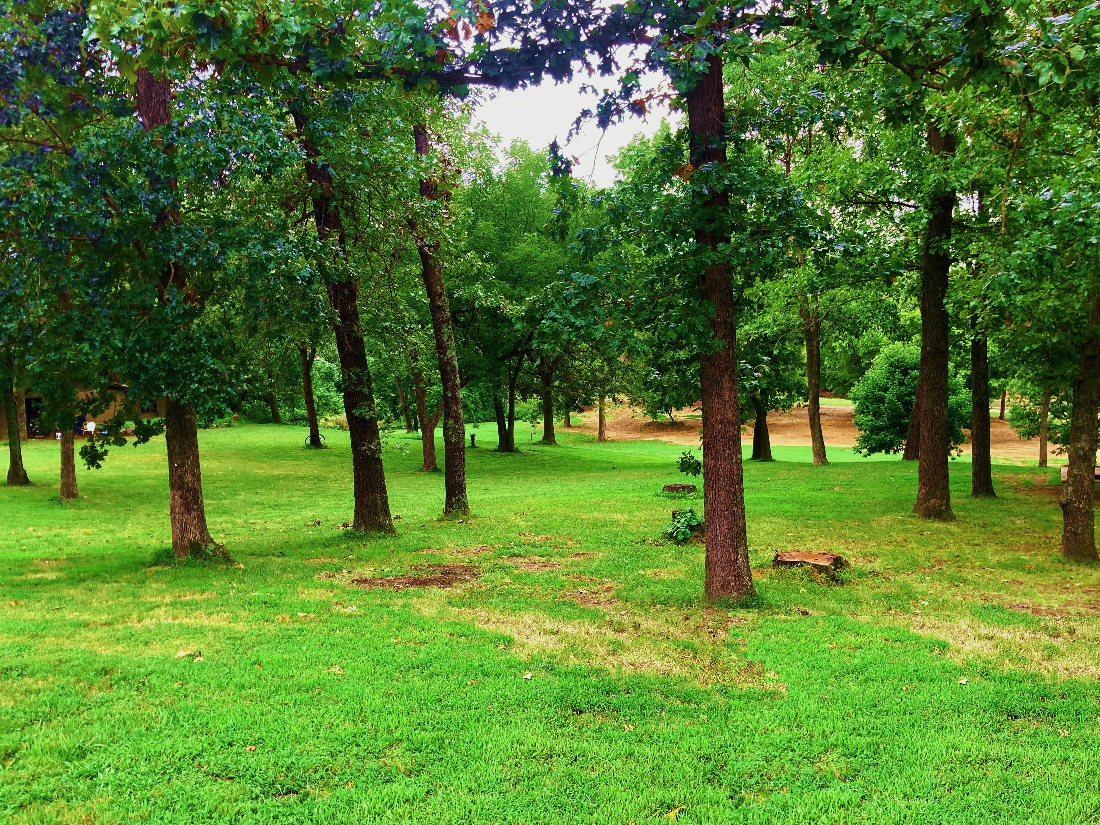View All