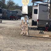 Review photo of La-Z-Daze Trailer Park by Marilyn , January 17, 2021