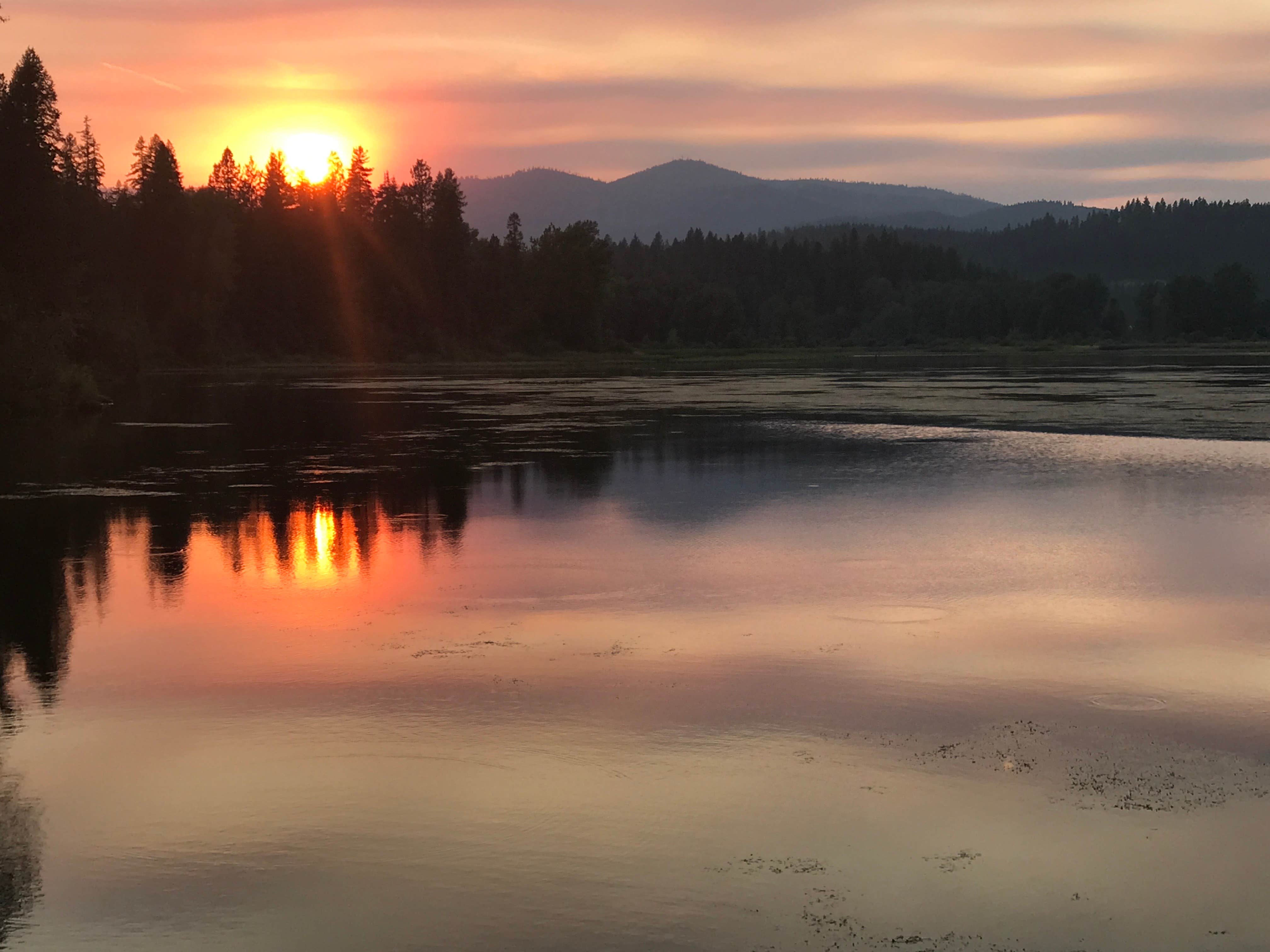 Camper submitted image from Mica Bay Boater Park Camping - 4