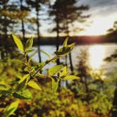 Review photo of Wolfe's Neck Oceanfront Campground by Kelly A., May 27, 2018