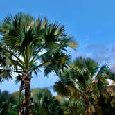 Review photo of Waters Edge Motor Coach & RV Resort by Kevin A., January 5, 2021
