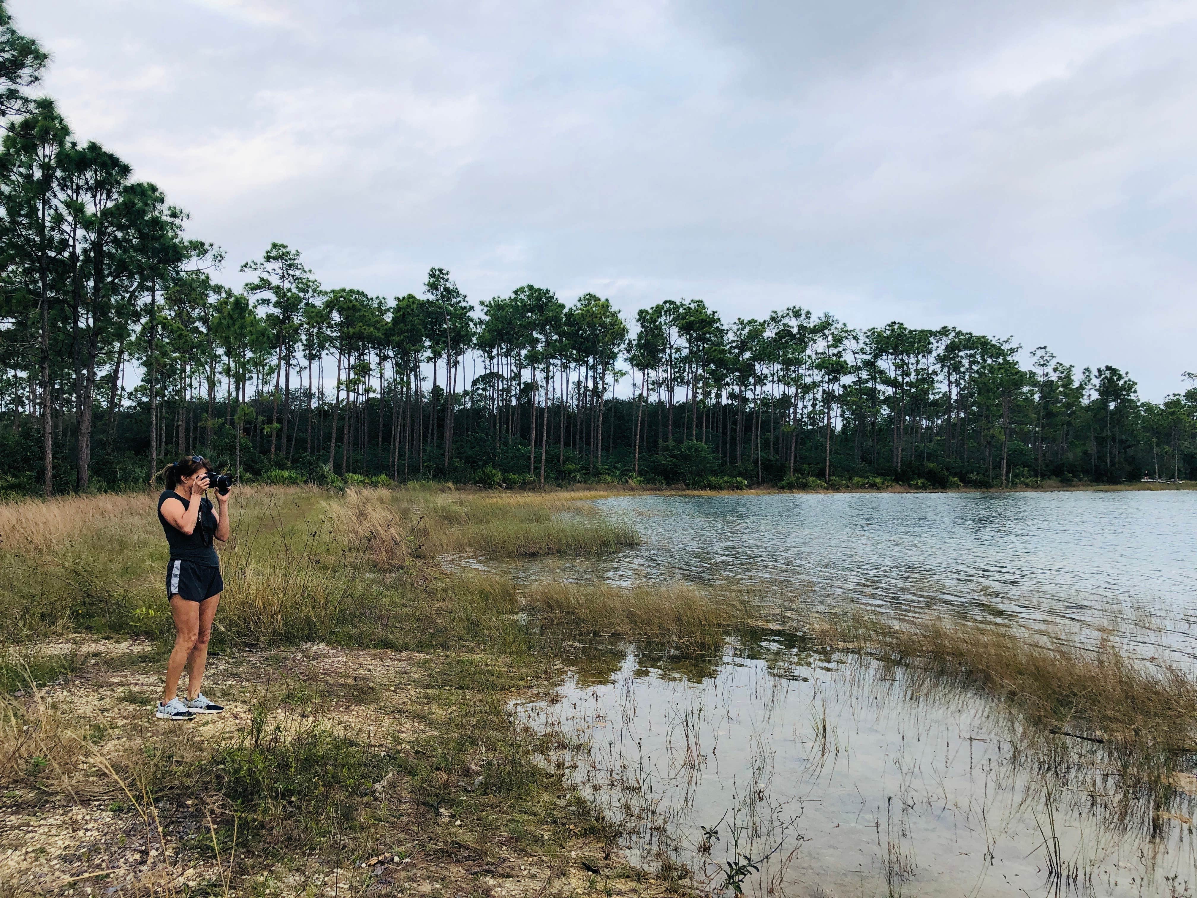 Camper-submitted photo at Long Pine Key Campground — Everglades National Park near Biscayne National Park