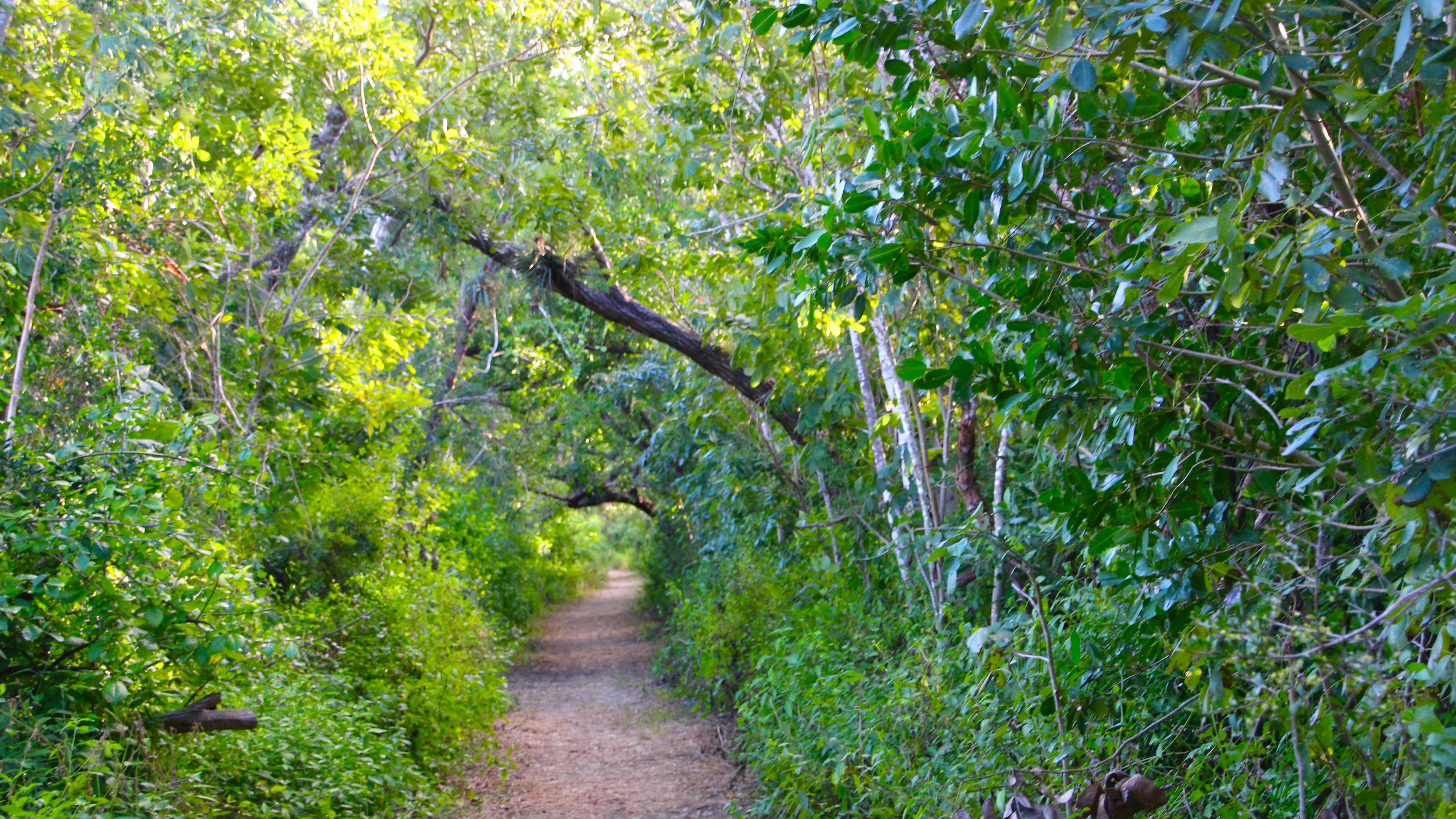 Long Pine Key Campground — Everglades National Park