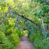 Review photo of Long Pine Key Campground — Everglades National Park by Kevin A., January 4, 2021