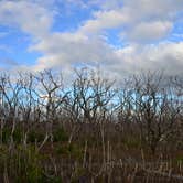 Review photo of Long Pine Key Campground — Everglades National Park by Kevin A., January 4, 2021