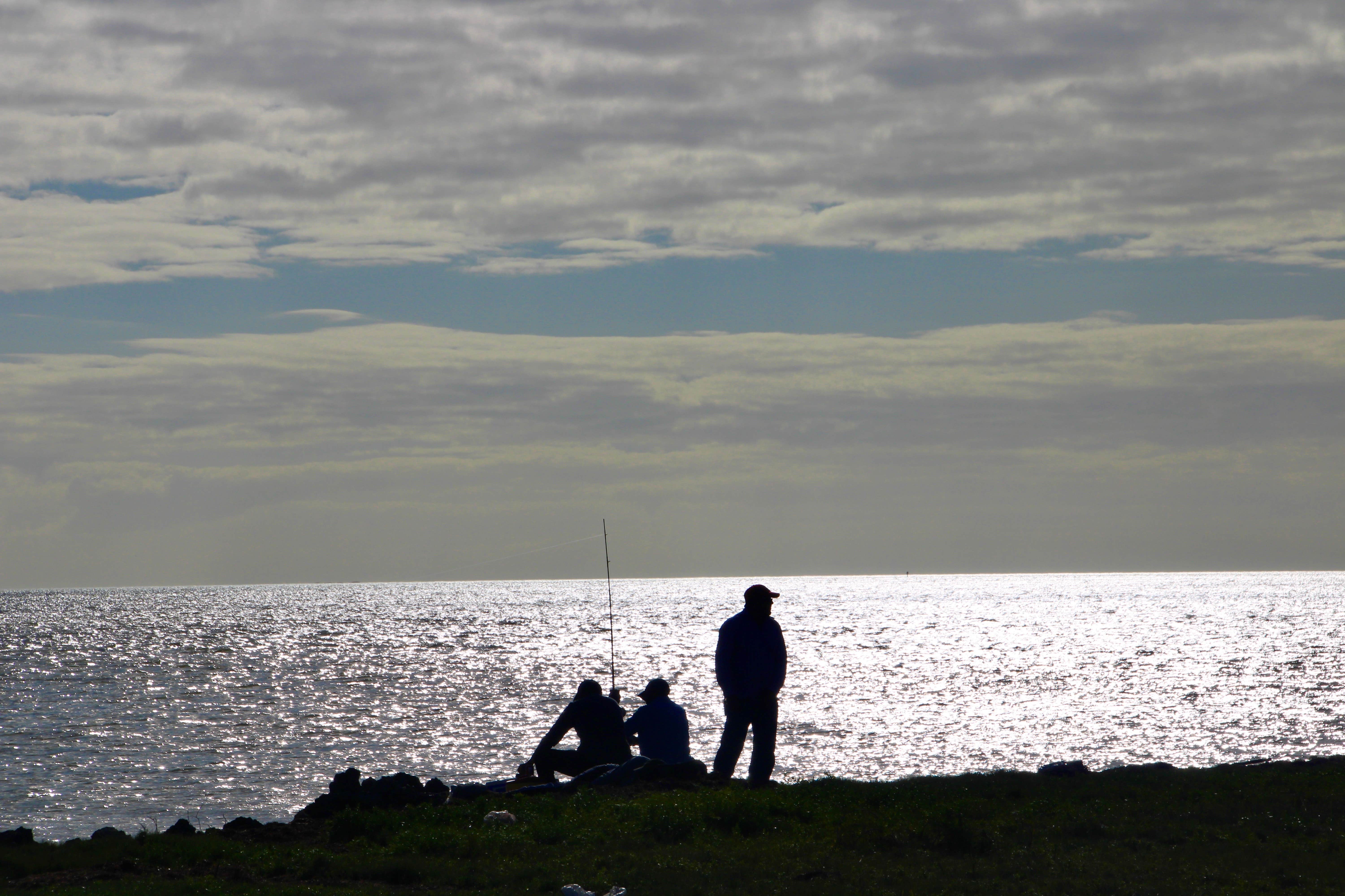 Long Pine Key Campground — Everglades National Park