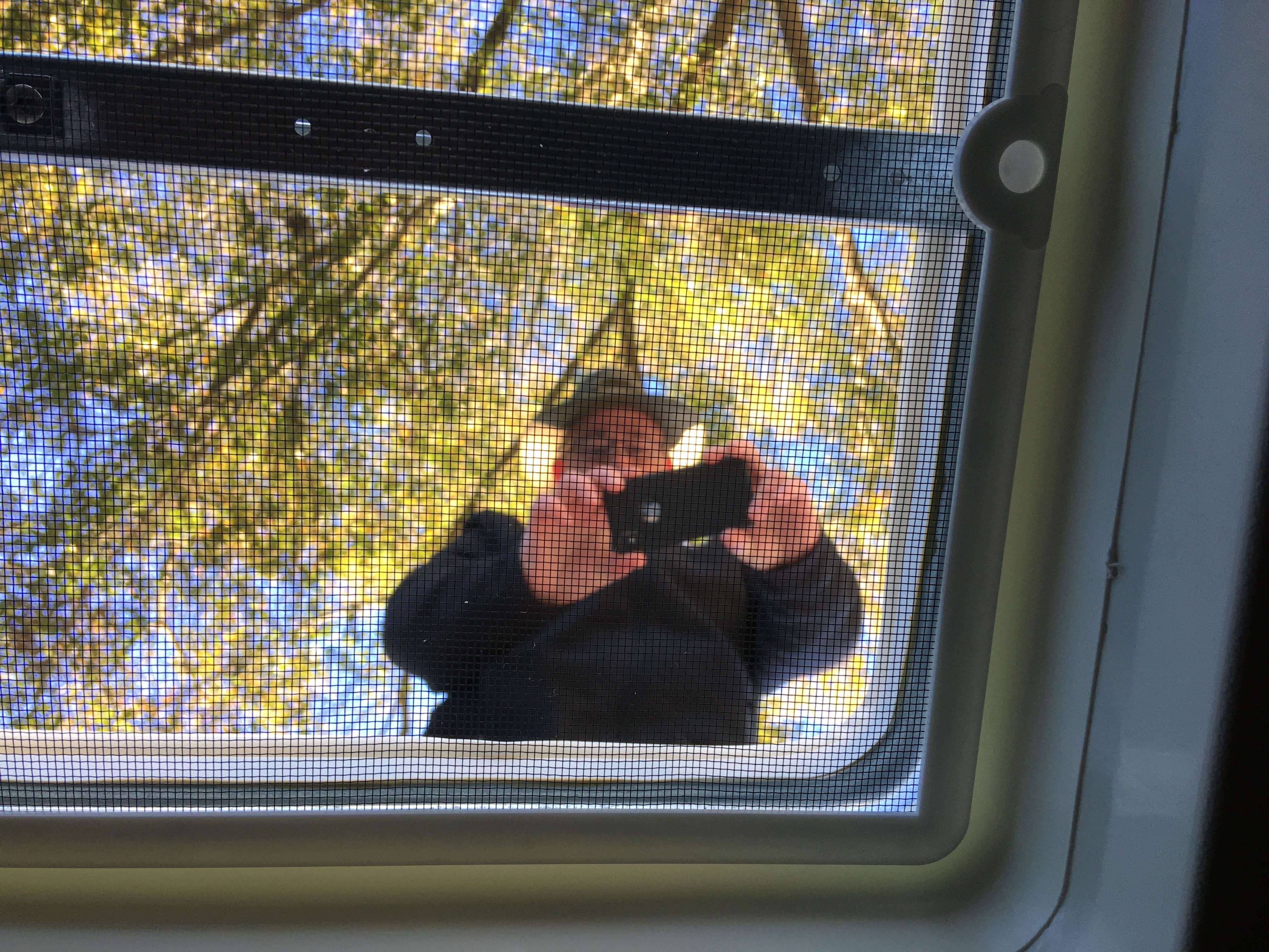 Camper-submitted photo at Starke-Gainesville NE KOA near Middleburg, FL