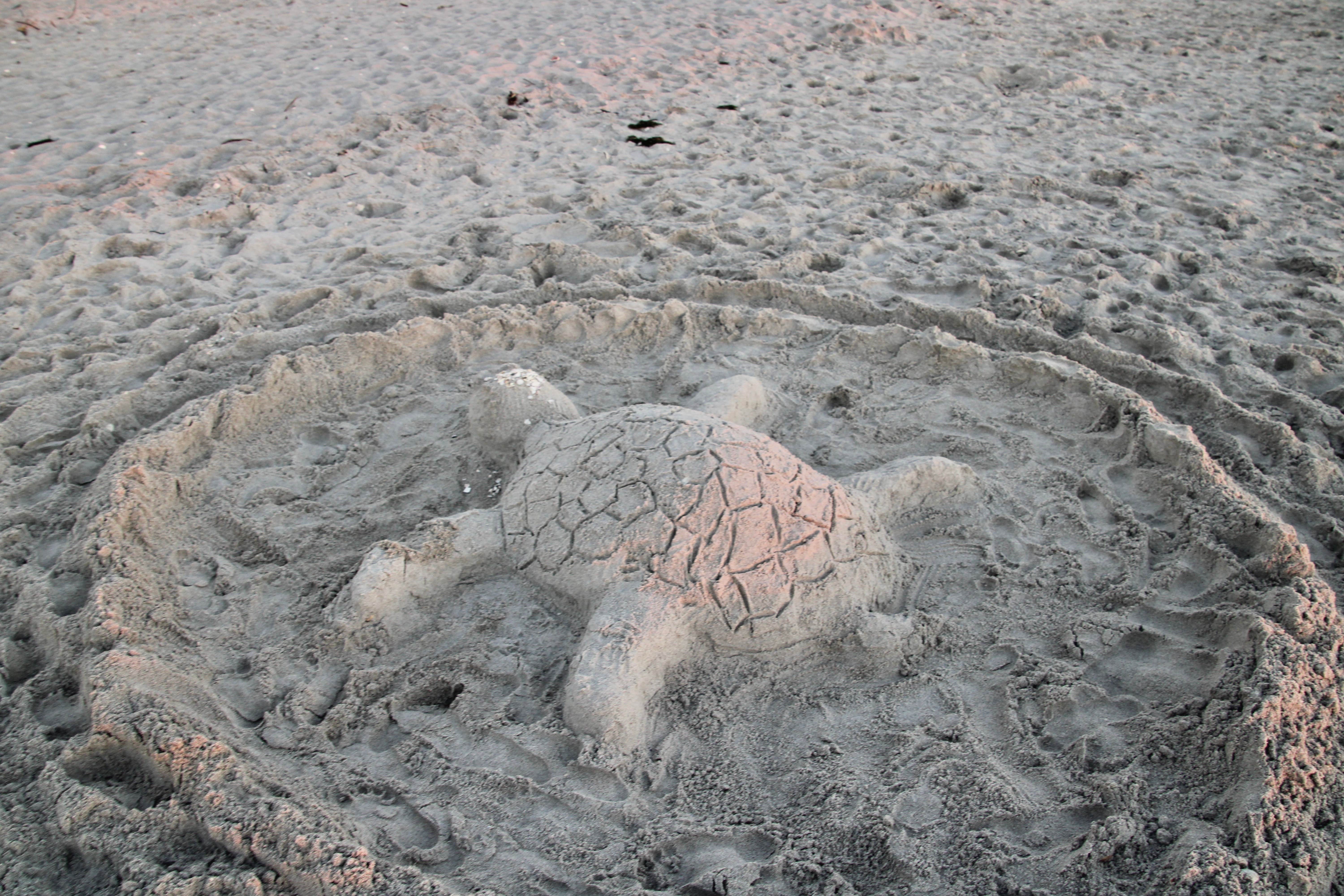 Camper-submitted photo at Starke-Gainesville NE KOA near Middleburg, FL