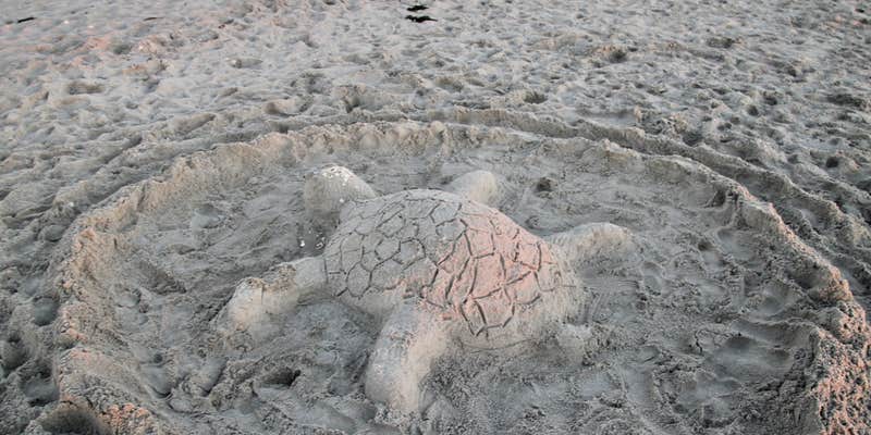 Camper submitted image from Starke-Gainesville NE KOA