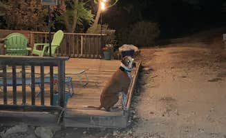 Becky B.'s photo of camping with pets at Boulderdash Cabin & RV Park near Shavano Park, TX