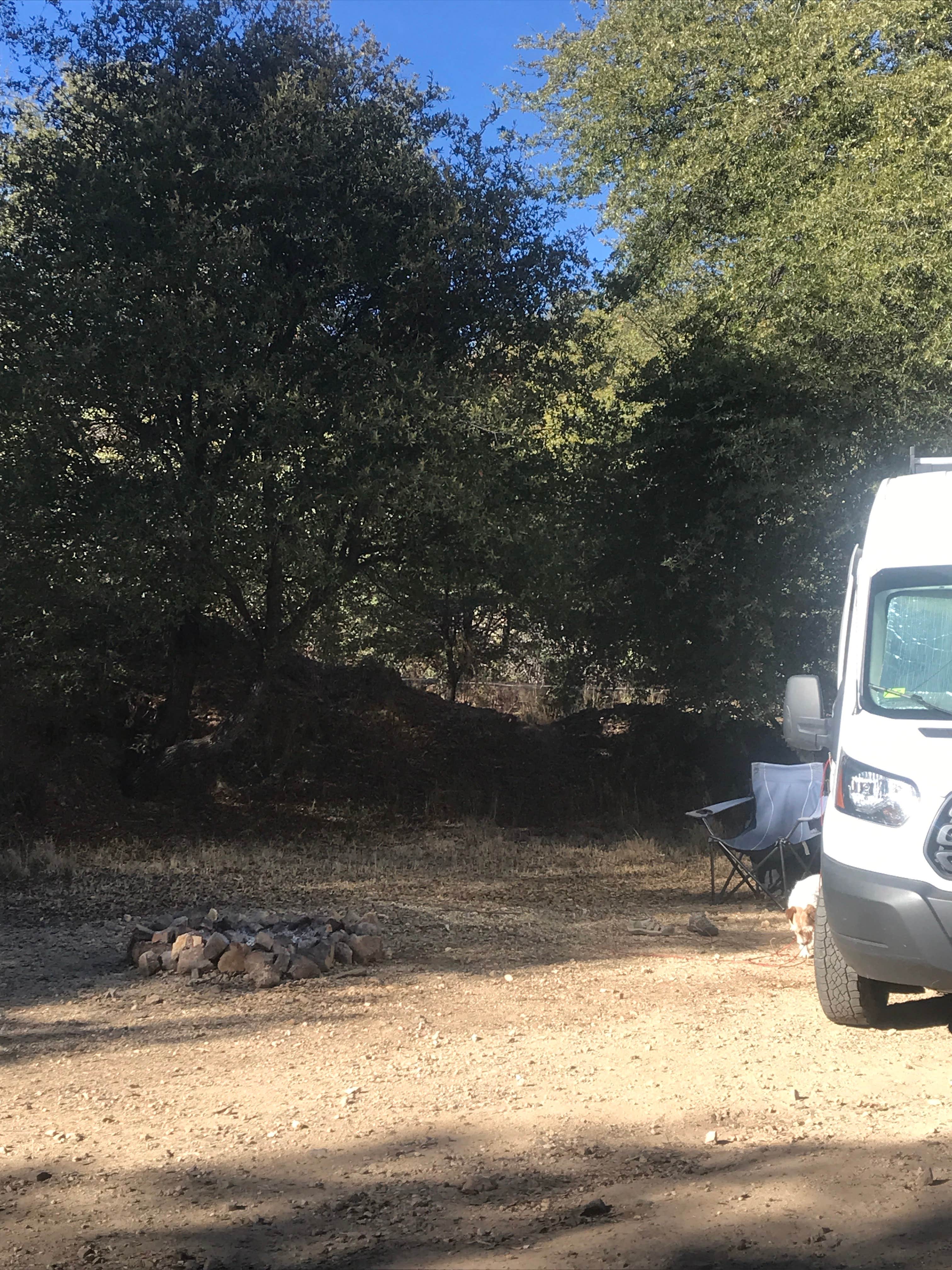 Camper submitted image from Harshaw Road Dispersed Camping - San Rafael Canyon - 1