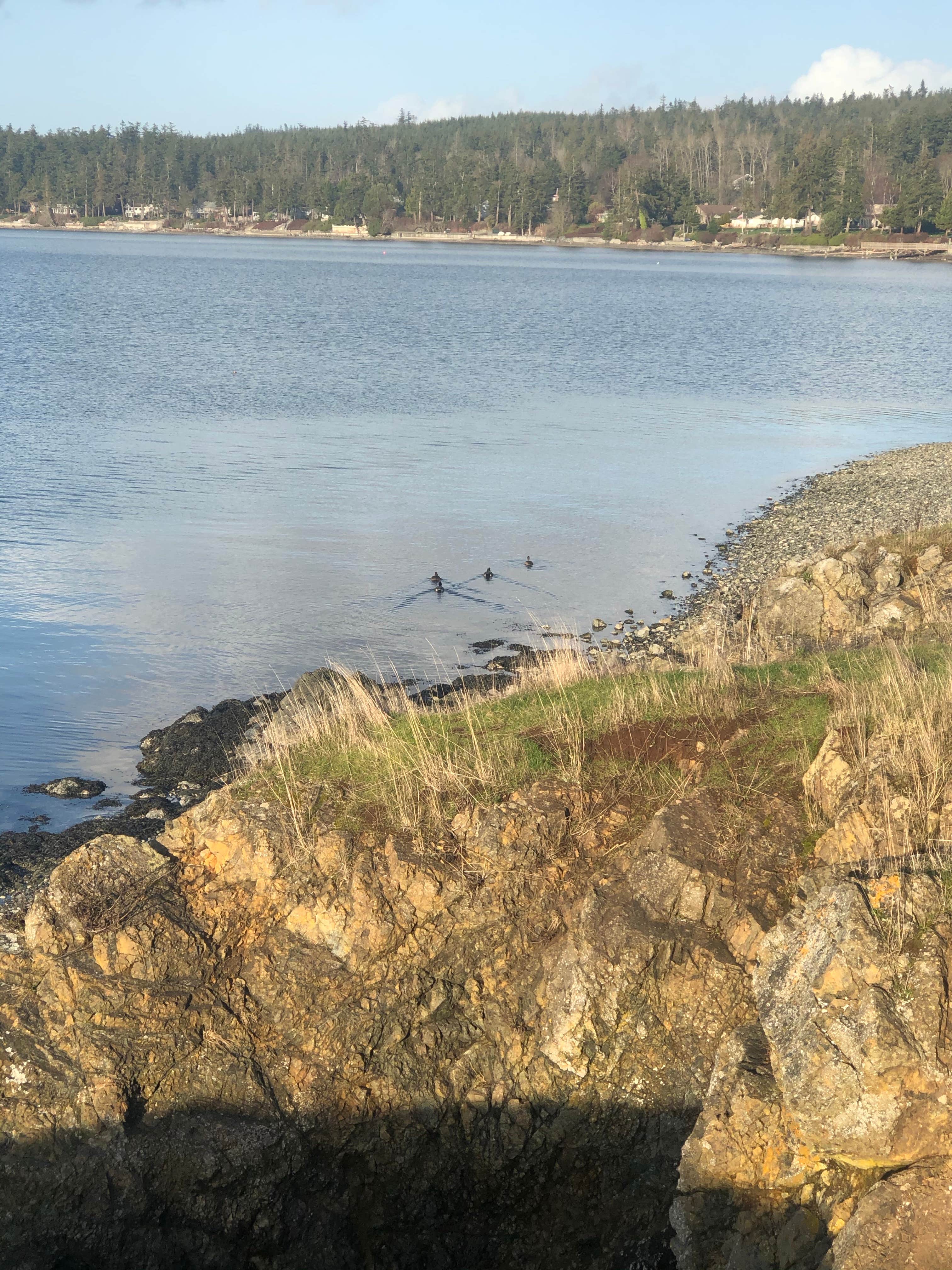 Camping near Fidalgo Bay Resort: La Conner RV, La Conner, Washington