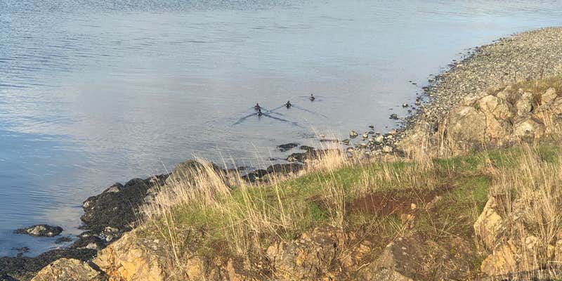 Camper submitted image from La Conner RV