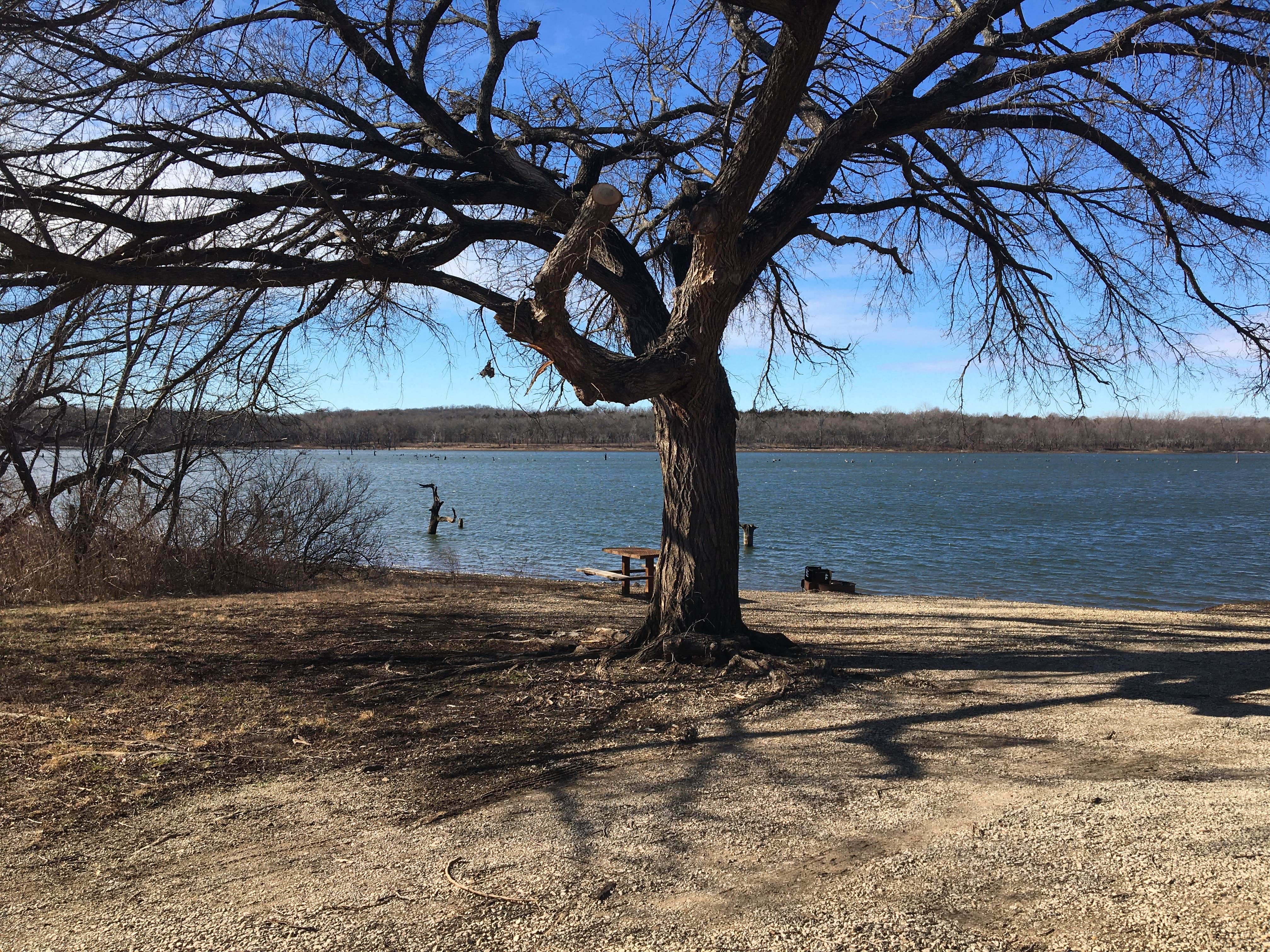 Camper submitted image from Cedar Park - 4