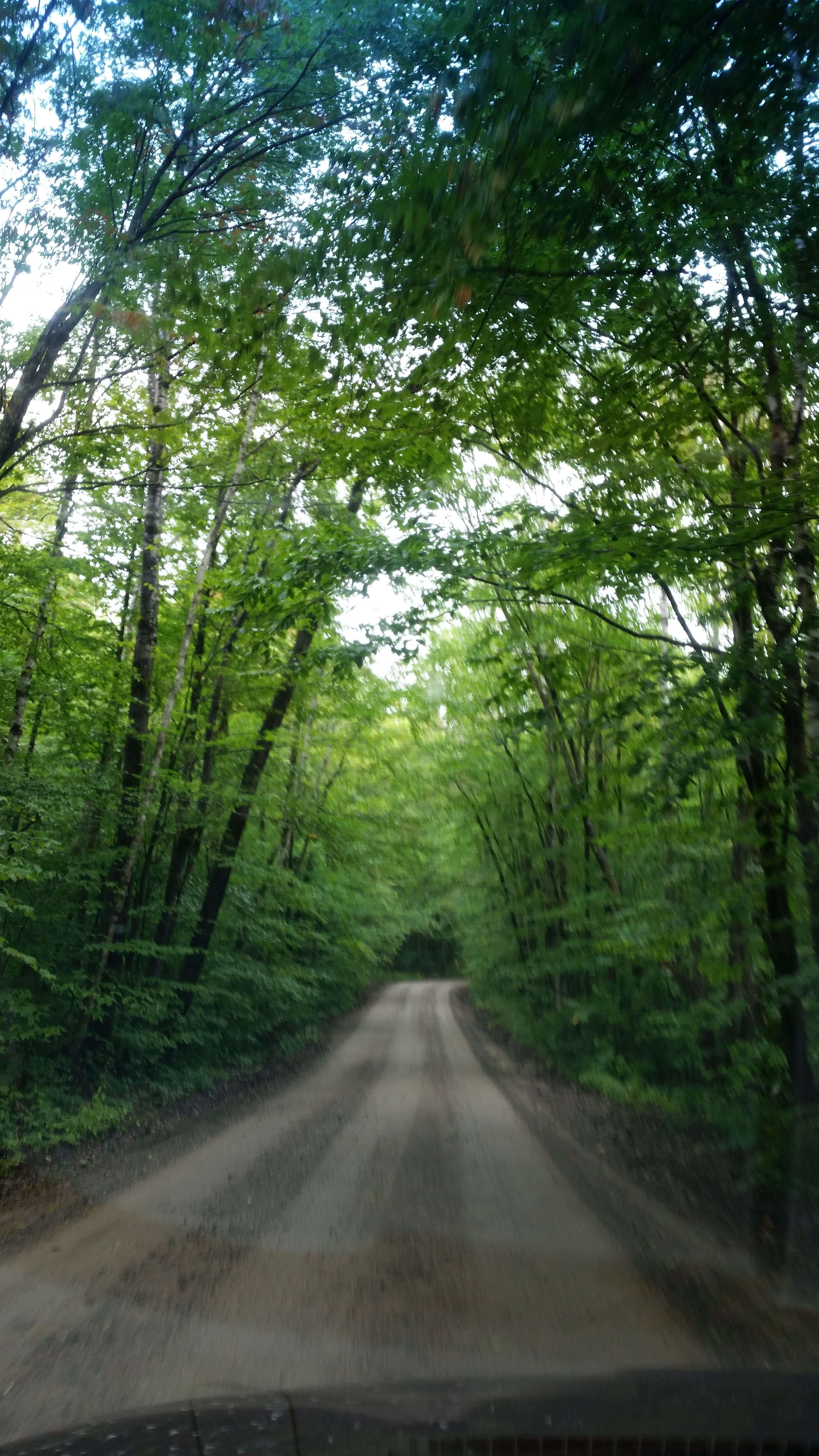 Camper submitted image from Roaring Brook Campground — Baxter State Park - 3