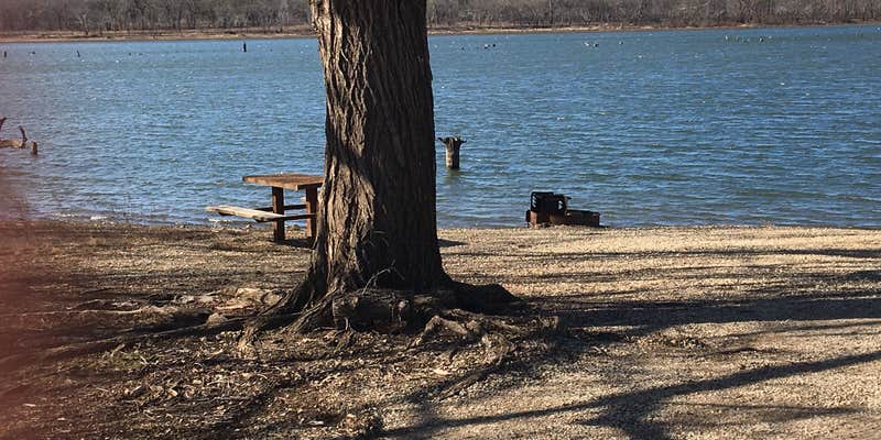 Camper submitted image from Cedar Park