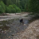 Review photo of Paradise Creek Campground by Erin C., July 12, 2016
