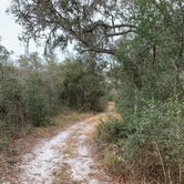Review photo of Pasco County - Crews Lake Wilderness Park by CDCA , January 17, 2021