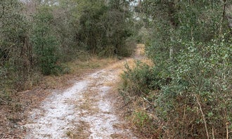 Camping near Old Dixie Hwy RV Park: Pasco County - Crews Lake Wilderness Park, Spring Hill, Florida