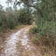Pasco County - Crews Lake Wilderness Park