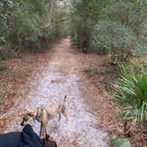 Review photo of Pasco County - Crews Lake Wilderness Park by CDCA , January 17, 2021