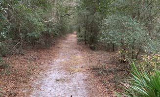 CDCA's photo of camping with pets at Pasco County - Crews Lake Wilderness Park near Weeki Wachee, FL