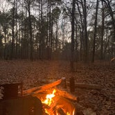 Review photo of George L Smith II State Park Campground by Tyler W., January 17, 2021