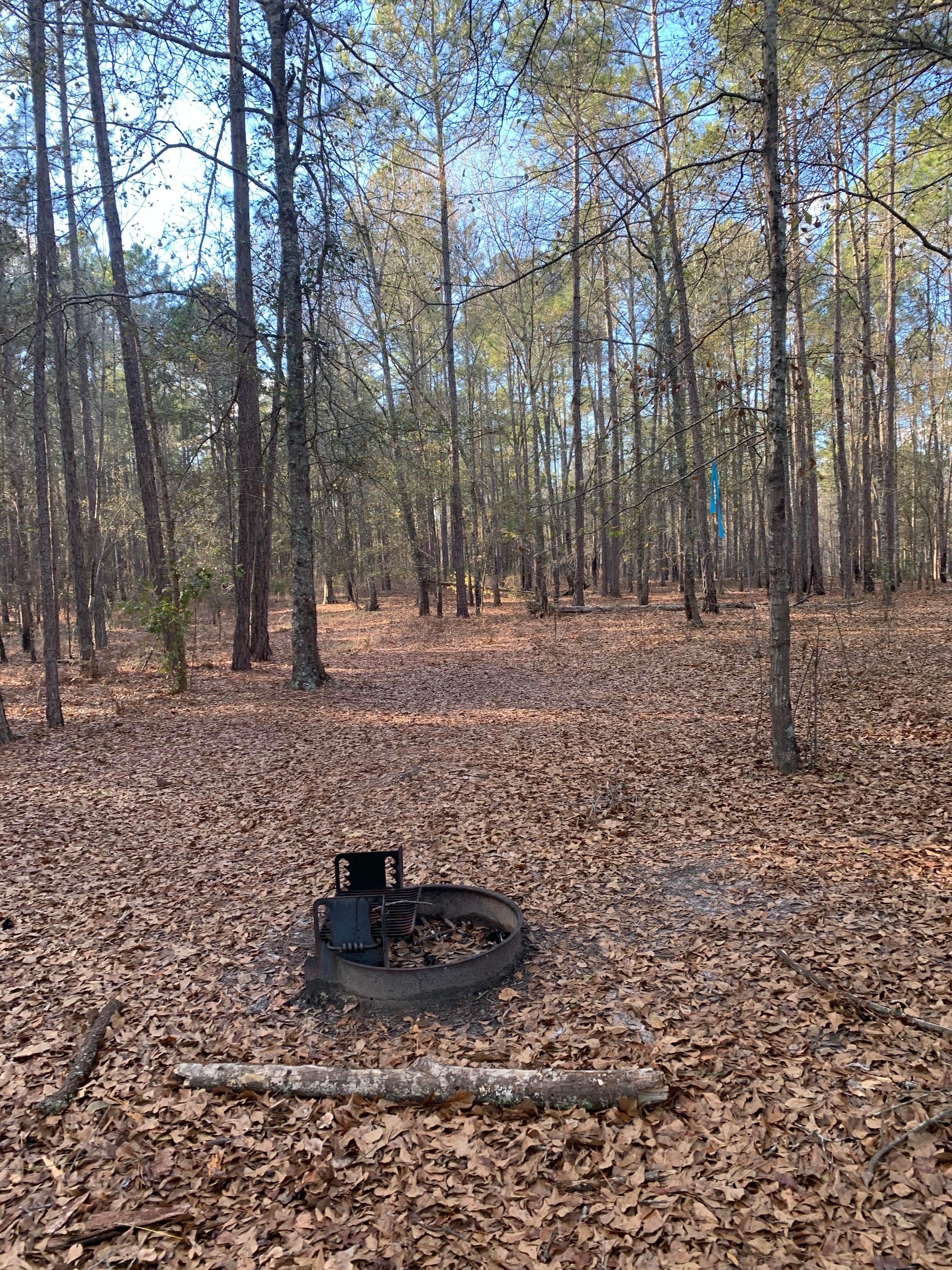 Camper-submitted photo at George L. Smith State Park Campground near Twin City, GA