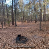 Review photo of George L Smith II State Park Campground by Tyler W., January 17, 2021