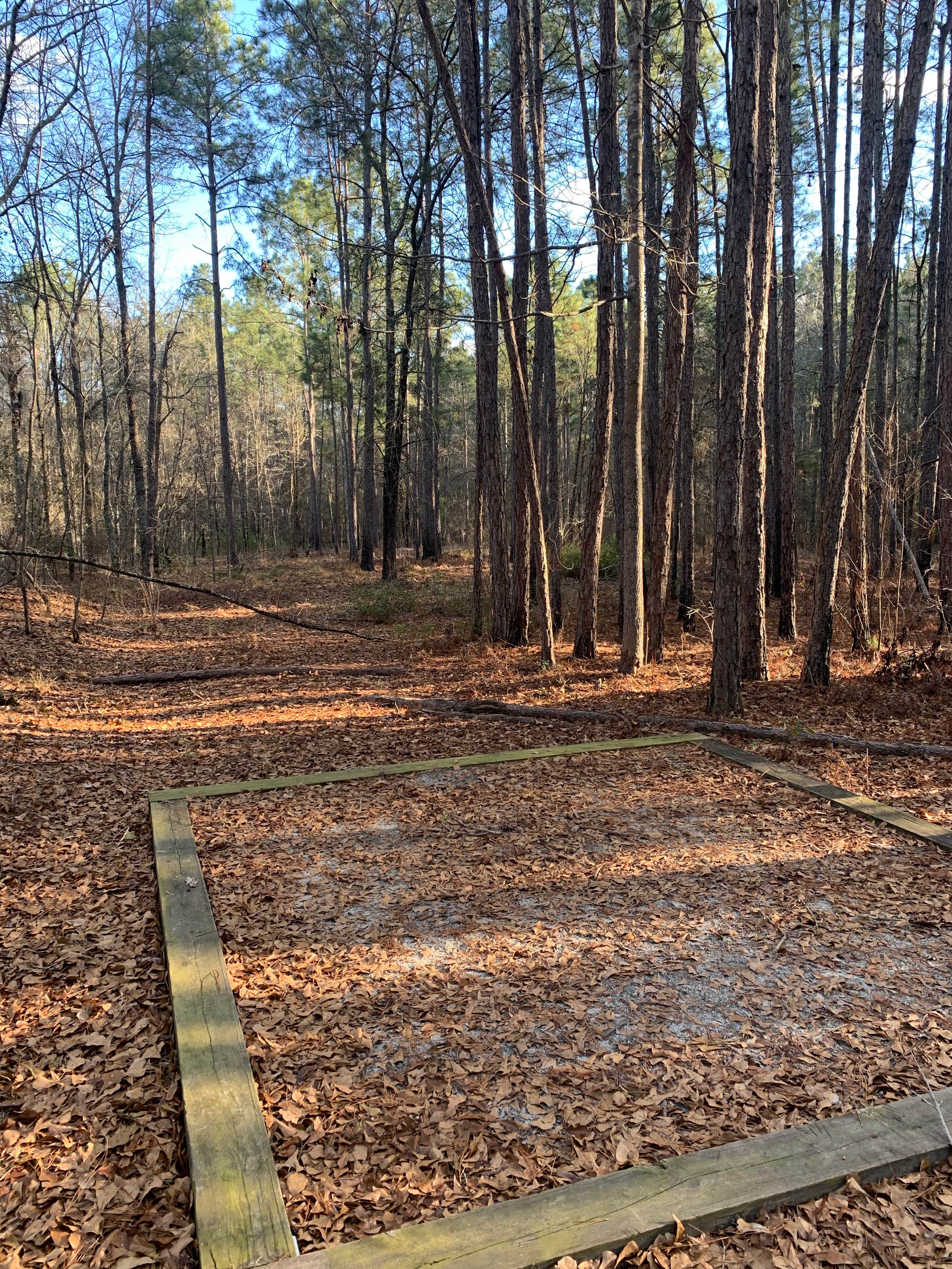 Camper-submitted photo at George L. Smith State Park Campground near Twin City, GA