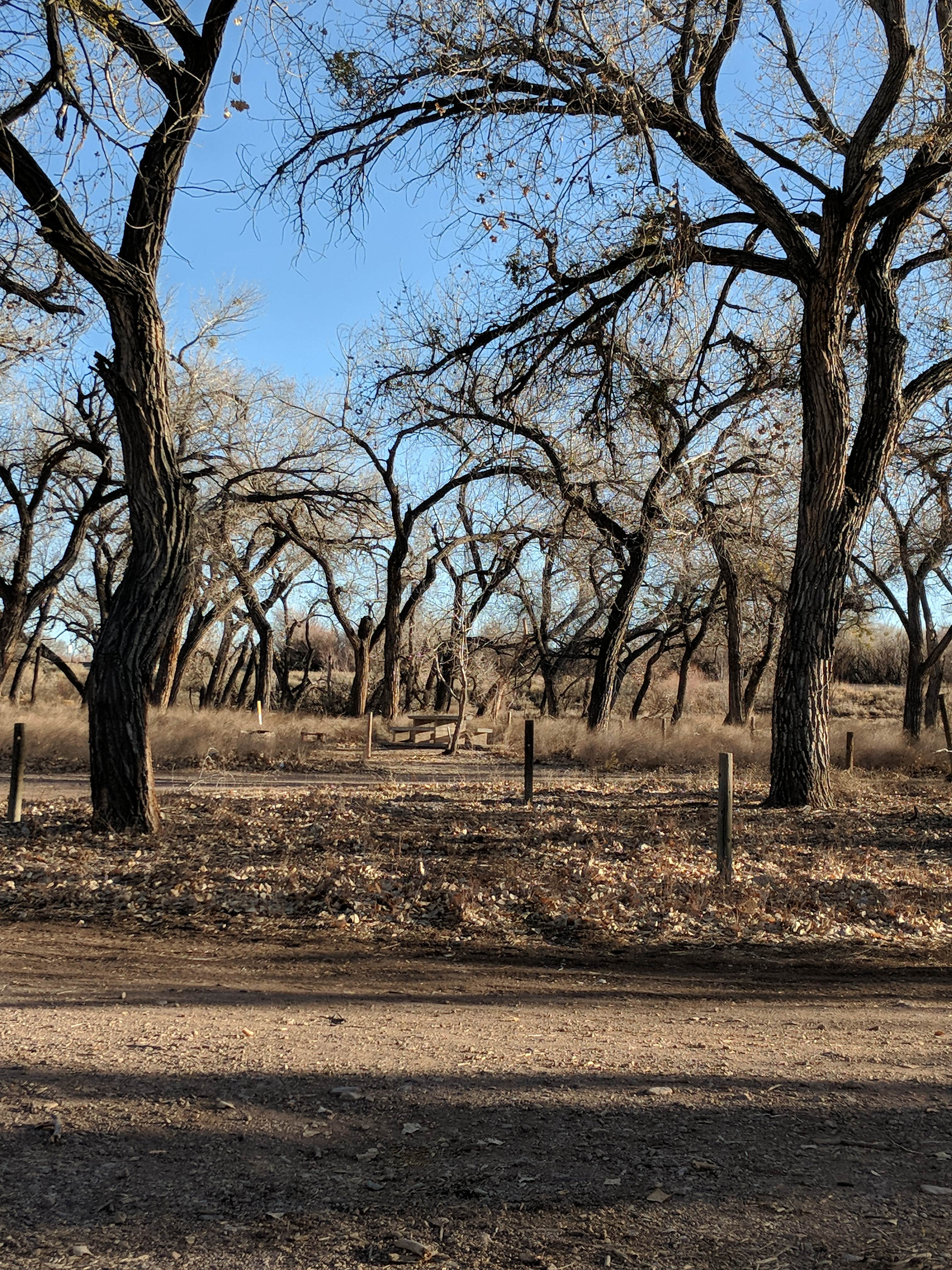 Camper-submitted photo at San Antonio Bosque Park near San Acacia, NM