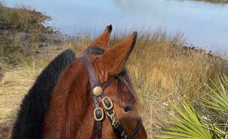 B H.'s photo of camping with a horse at Princess Place Preserve near Fort Mccoy, FL