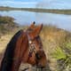 Princess Place Preserve