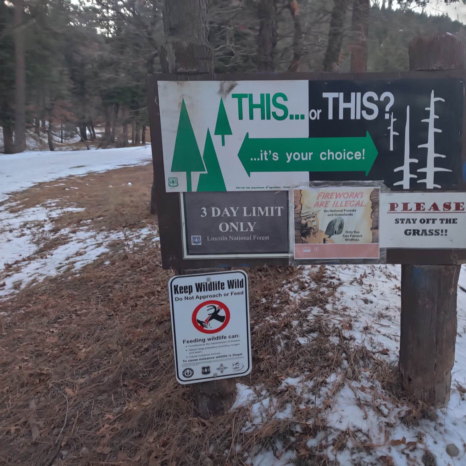 Cedar Creek Recreation Area Camping Ruidoso, NM